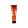 Redken Frizz Dismiss Mask 250ml